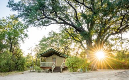 Makgadikgadi Pans image