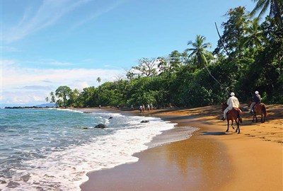Drake Bay Wilderness Resort