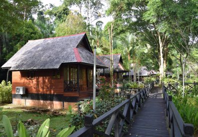 Sepilok Nature Lodge