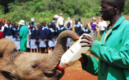 Sheldricks Wildlife Trust image