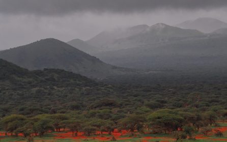Vidare till västra Tsavo image