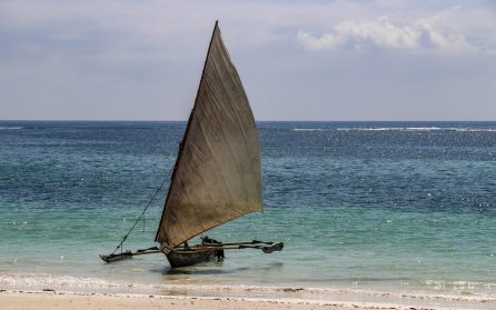 Strandhäng vid Indiska oceanen image