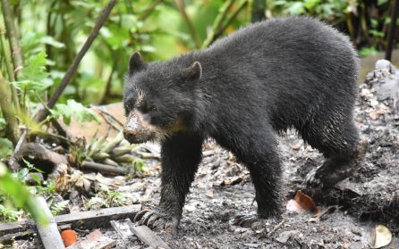 Exkursioner i Molnregnskogen - Resa tillbaka till Quito image