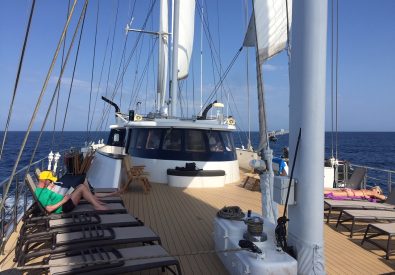 M/S Panorama II