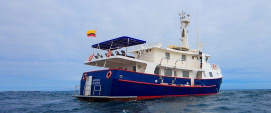 Galapagoskryssning med M/Y Cachalote Explorer hero image