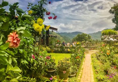 Ella Flower Garden Resort