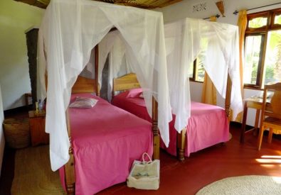 Bougainvillea Safari Lodge