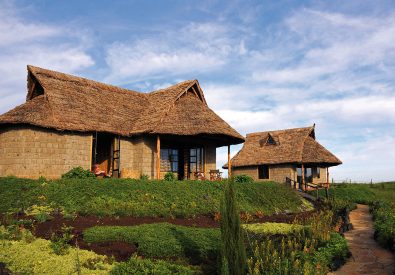 Rhino watch safari lodge