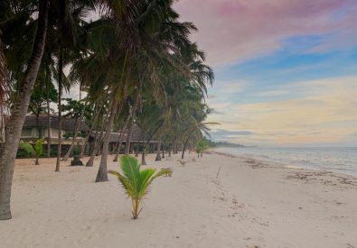 Coconut beach lodge