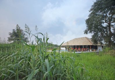 Tadoba NP, Svasara Jungle Lodge