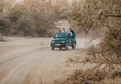 Gir NP, Lion safari camp