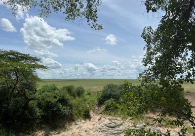 Basecamp Masai Mara