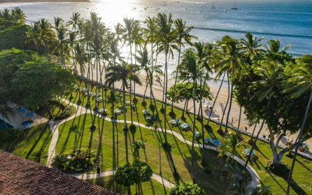 Strandliv vid Stilla havet image