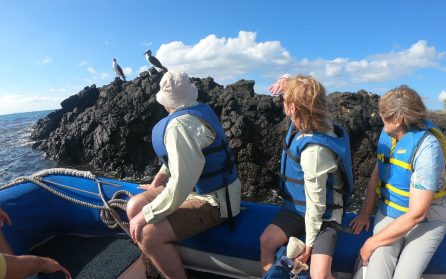 Galapagos - morgon och förmiddag image