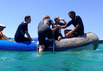 Bad och snorkling