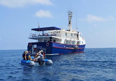 M/Y Cachalote Explorer
