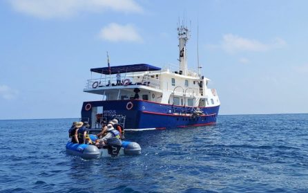 Till Galapagos och ön San Cristobal image