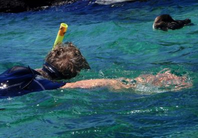 Bad och snorkling