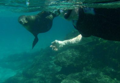 Bad och snorkling