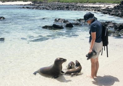 Bad och snorkling