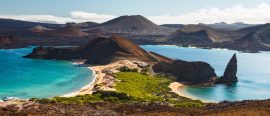 Galapagos – en alldeles egen värld thumbnail