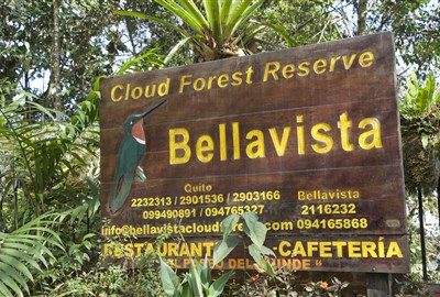 Avresa från Quito till Bellavista reservatet i Mindo image