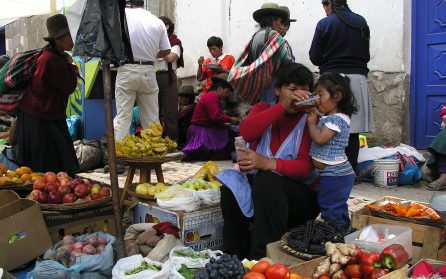 Upptäck Cusco - Inkarikets navel image