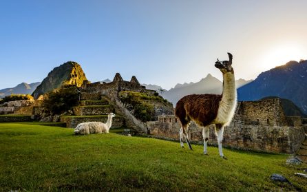 Machu Picchu - Cusco image