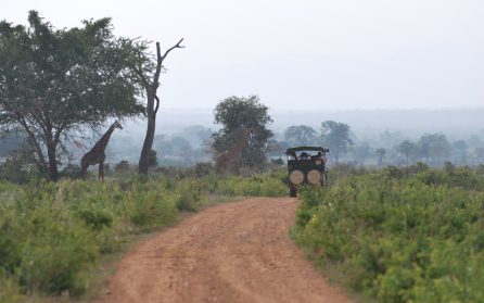 Dar es Salaam image