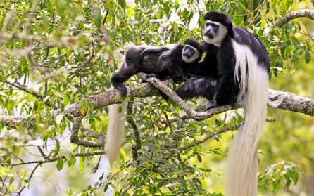 Vilodag och packning inför hemresan image
