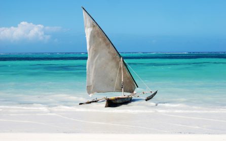 Zanzibars stränder image