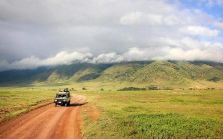 Ngorongoro image