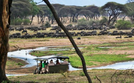 Ruaha till Lazy Lagoon Island image