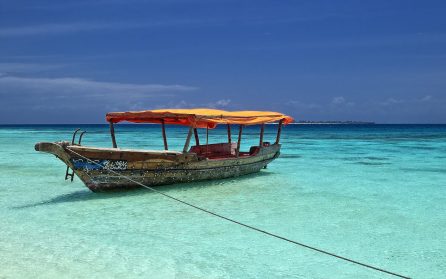 Sol och bad på Zanzibar image