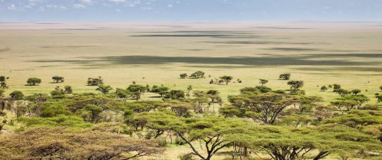Expedition Norra Tanzania – Den ultimata safariresan med besök i 6 olika viltreservat hero image
