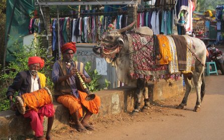 Från Goa till New Delhi image