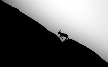 Ulley till Leh image