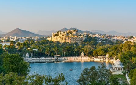 Udaipur image
