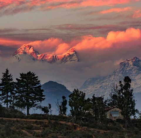 Indien hero background image