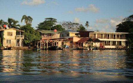 Regnskogsäventyr i Tortuguero image