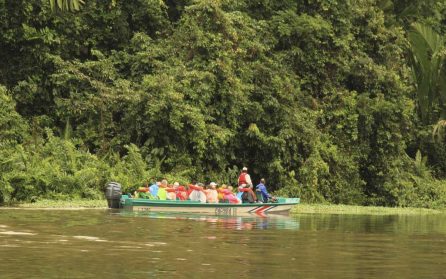 Exkursioner med motordriven kanot i Tortuguero Nationalpark image