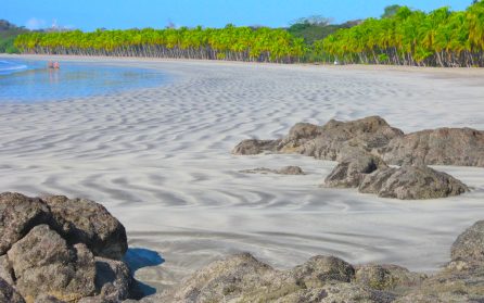 Lata dagar i Sámara vid Stilla havet image