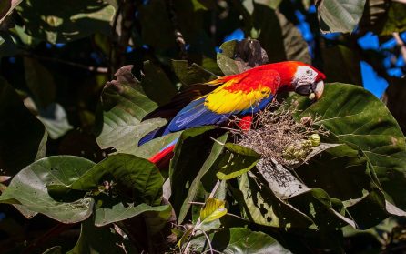 Utflykt till Rio Claro Reserve image