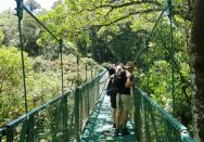 Tilläggsresa: Molnregnskogen Monteverde thumbnail
