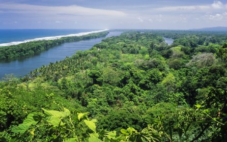 Regnskogsäventyr i Tortuguero image