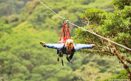 Zipline bland trädtopparna image