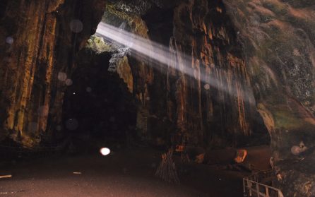 Kinabatangan och Gomantonggrottan image