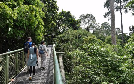 Sandakan och Rainforest Discovery Center image