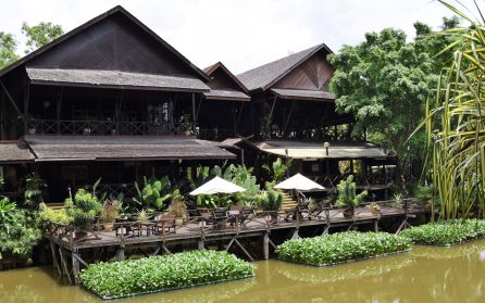 Sepilok och Rainforest Discovery Center image