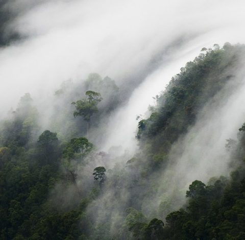 Expeditioner hero background image